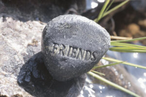 friends - stone